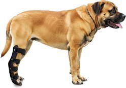 OrthoVet Standard Dog Rear Leg Splint, X-Large