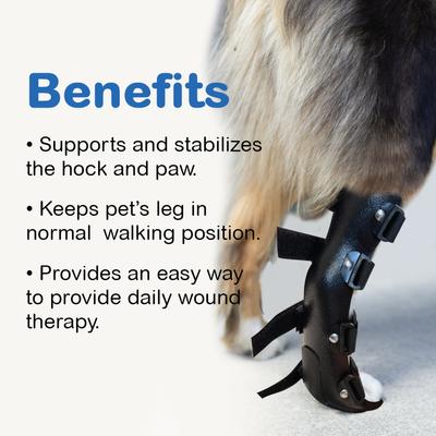 Show full view: OrthoVet Standard Dog Rear Leg Splint, XX-Small slide 8 of 8