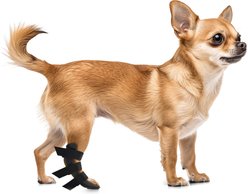 OrthoVet Standard Dog Rear Leg Splint, XX-Small