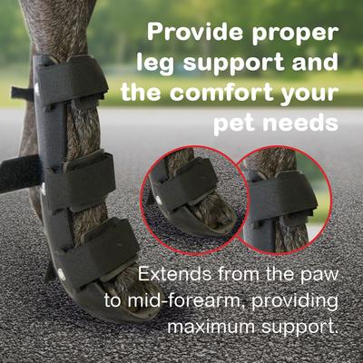 ORTHOVET Standard Dog Front Leg Splint, Large - Chewy.com