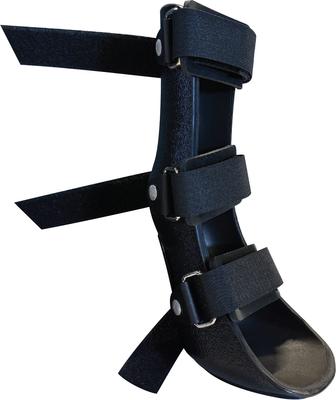 Show full view: OrthoVet Standard Dog Front Leg Splint, X-Large slide 4 of 8