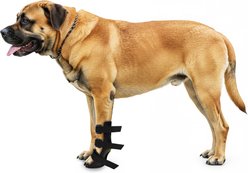 OrthoVet Standard Dog Front Leg Splint, X-Large