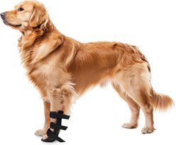 OrthoVet Standard Dog Front Leg Splint, Large