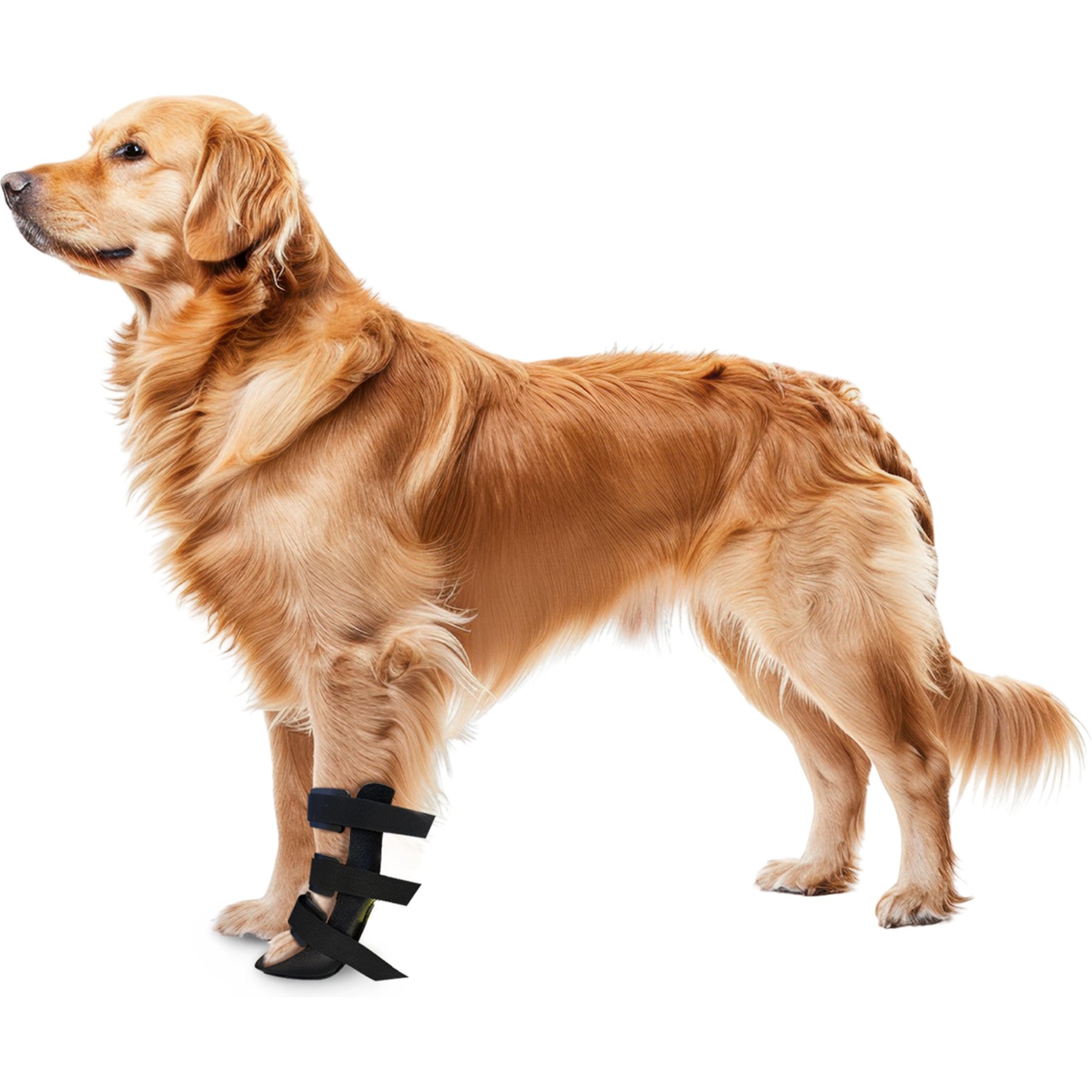 OrthoVet Standard Dog Front Leg Splint, Large