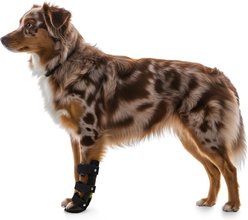 OrthoVet Standard Dog Front Leg Splint, Medium