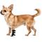 Show in main carousel: OrthoVet Standard Dog Front Leg Splint, XX-Small slide 1 of 8