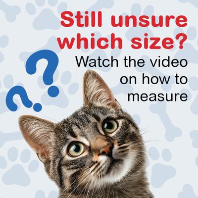 Show full view: OrthoVet Feline Rear Leg Splint slide 3 of 8