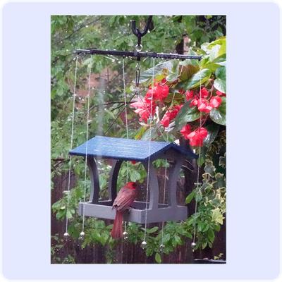 Show full view: Sparrow-B-Gone! Rectangular/Platform Feeders Bird Feeder Accessory, Black, Small/Medium slide 5 of 5