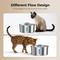 Show in main carousel: HINTON Indoor Ultra Quiet Automatic Water Dispenser Stainless Steel Dog & Cat Water Fountain with Water Level Window & Multi-Stage Filtration, Silver, 3.2-L slide 4 of 8
