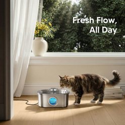 HINTON Indoor Automatic Water Dispenser & Ultra Quiet Pump Stainless Steel Dog & Cat Water Fountain with Multi-Stage Filtration & Water Level Window, Silver, 3.2-L slide 2 of 8