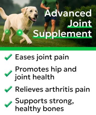 Show full view: Bark&Spark Glucosamine Chondroitin Peanut Butter Flavored Hip & Joint Chews Supplement for Dogs, 120 count slide 3 of 10