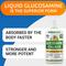 Show in main carousel: Bark&Spark Liquid Glucosamine + Collagen Hip & Joint Supplement for Dogs, 16-fl oz bottle slide 4 of 10