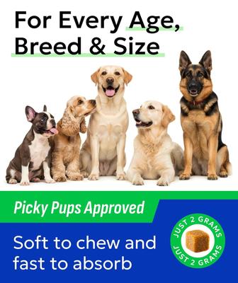 Show full view: Bark&Spark Glucosamine Chondroitin Peanut Butter Flavored Hip & Joint Chews Supplement for Dogs, 120 count slide 9 of 10