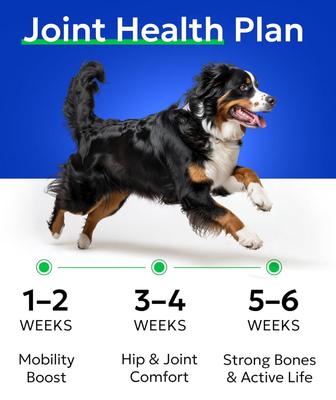 Show full view: Bark&Spark Advanced Glucosamine Chondroitin Chews Hip & Joint with Omega 3 & Fish Oil Supplement for Senior Dogs, 120 count slide 6 of 11