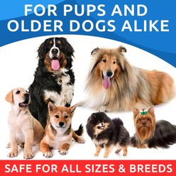 Bark&Spark Allergy Relief & Itch Relief with Omega 3 Skin & Coat with Salmon Oil Chew Supplement for Dogs, 180 count slide 2 of 8