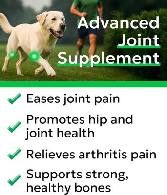 Show full view: Bark&Spark Glucosamine Chondroitin Hip & Joint with Omegas 3 & Fish Oil Advanced Mobility Chew Supplement for Dogs, 180 count slide 3 of 9