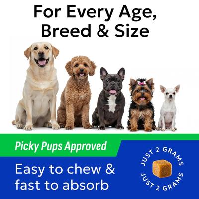 Show full view: Bark&Spark Probiotics & Digestive Enzymes Fiber & Digestion & Gut Health Chew Supplement for Dogs, 120 count slide 6 of 10