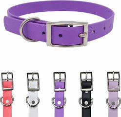 Tailr Premium BioThane Waterproof Dog Collar, Bright Lavender, Large: 15 to 18-in neck, 3/4-in wide