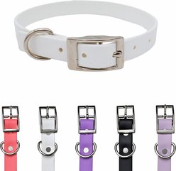 Tailr Premium BioThane Waterproof Dog Collar, White, Medium: 12 to 15-in neck, 5/8-in wide