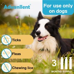 Advanllent Flea & Tick Spot Treatment for Dogs, 5-22 lbs, 3 Doses (3-mos supply) slide 2 of 6