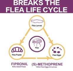 Advanllent Flea & Tick Spot Treatment for Cats, Over 1.5 lbs, 3 Doses (3-mos supply) slide 2 of 6