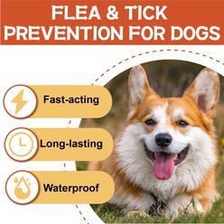 Advanllent Flea & Tick Spot Treatment for Dogs, 45-88 lbs, 3 Doses (3-mos supply) slide 2 of 6