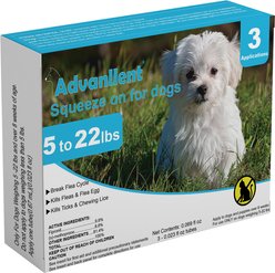 Advanllent Flea & Tick Spot Treatment for Dogs, 5-22 lbs, 3 Doses (3-mos supply)