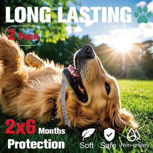 Advanllent Flea & Tick Treatment & Prevention Collar for Dogs, Over 18 lbs, 2 count