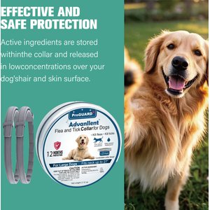 Advanllent Flea & Tick Treatment & Prevention Collar for Dogs, Over 18 lbs, 2 count