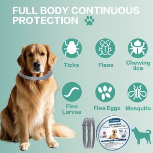 Advanllent Flea & Tick Treatment & Prevention Collar for Dogs, Over 18 lbs, 2 count