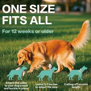 Advanllent Flea & Tick Treatment & Prevention Collar for Dogs, Over 18 lbs, 2 count