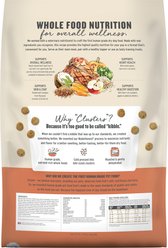 The Honest Kitchen Human Grade Whole Food Clusters Whole Grain Beef & Oat Dry Dog Food, 20-lb bag slide 2 of 9