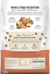 The Honest Kitchen Human Grade Grain-Free Beef Whole Food Clusters Dry Dog Food, 20-lb bag slide 2 of 9