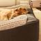 Show in main carousel: FunnyFuzzy Scratch-Resistant Orthopedic Dog Cushion Bed, XXX-Large, Brown slide 4 of 10
