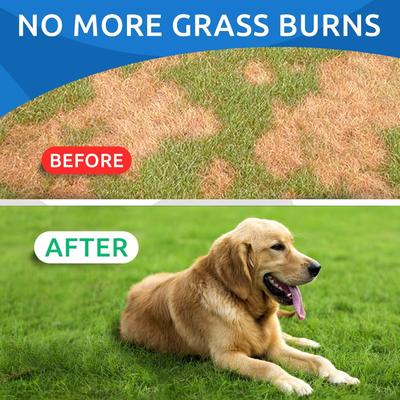 Show full view: Bark&Spark Grass Burn Spot Chews for Dogs & Urine Neutralizer & Grass Saver with Probiotics & Digestive Enzymes Chew Supplement for Dog, 120 count slide 3 of 9