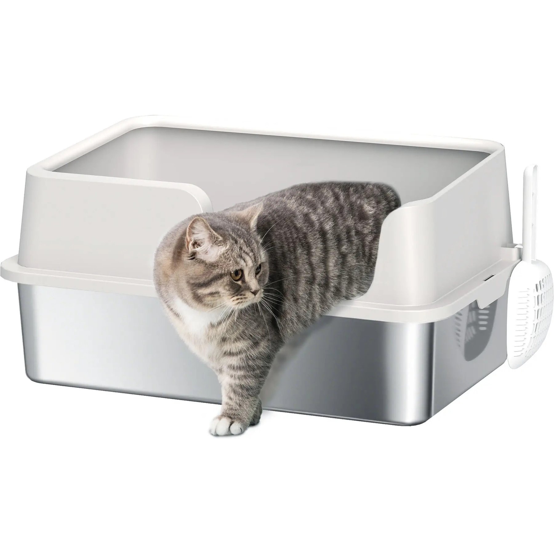 Zeus & Ruta High Sided Stainless Steel Cat Litter Box with Scoop, Light Grey