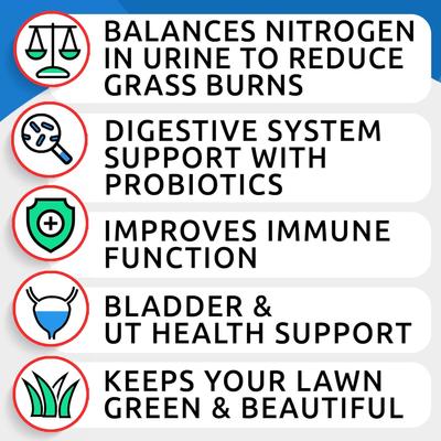 Show full view: Bark&Spark Grass Burn Spot Chews for Dogs & Urine Neutralizer & Grass Saver with Probiotics & Digestive Enzymes Chew Supplement for Dog, 120 count slide 4 of 9