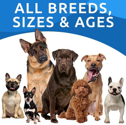 Show full view: Bark&Spark Allergy Relief & Anti Itch Relief with Omega 3 Skin & Coat Fish Oil Chew Supplement for Dogs, 180 count slide 8 of 10