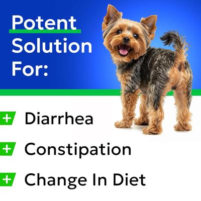Show full view: Bark&Spark Pumpkin Powdered Fiber & Stool Softener Diarrhea & Constipation Supplement for Dogs, 8.1-oz bag slide 5 of 11