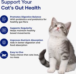 Aniwell Feline Gut Formula Probiotics & Digestive Support Chew Supplement for Cats, 60 count slide 2 of 7