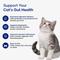 Show in main carousel: Aniwell Feline Gut Formula Probiotics & Digestive Support Chew Supplement for Cats, 60 count slide 5 of 8