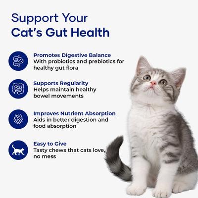 Show full view: Aniwell Feline Gut Formula Probiotics & Digestive Support Chew Supplement for Cats, 60 count slide 5 of 8