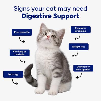 Show full view: Aniwell Feline Gut Formula Probiotics & Digestive Support Chew Supplement for Cats, 60 count slide 4 of 8