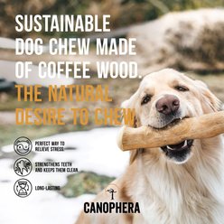 Canophera Coffee Wood Tough Chew Dog Toy, Large slide 2 of 5