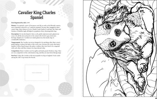 Show full view: AKC Ultimate Dog Coloring Book slide 3 of 4