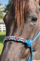 Professional's Choice Beaded Rope Horse Halter, Turquoise