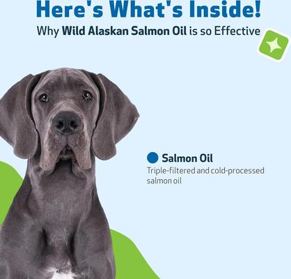Show full view: Pet Wellbeing Wild Alaskan Salmon Oil Liquid Supplement for Dogs, 16-oz bottle slide 7 of 10