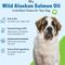 Show in main carousel: Pet Wellbeing Wild Alaskan Salmon Oil Liquid Supplement for Dogs, 16-oz bottle slide 6 of 10