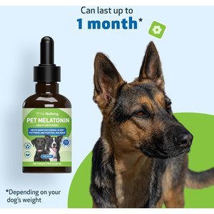 Pet Wellbeing Pet Melatonin Bacon Flavored Liquid Calming Supplement for Dogs, 2-oz bottle