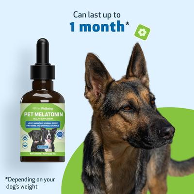 Show full view: Pet Wellbeing Pet Melatonin Bacon Flavored Liquid Calming Supplement for Dogs, 2-oz bottle slide 10 of 11